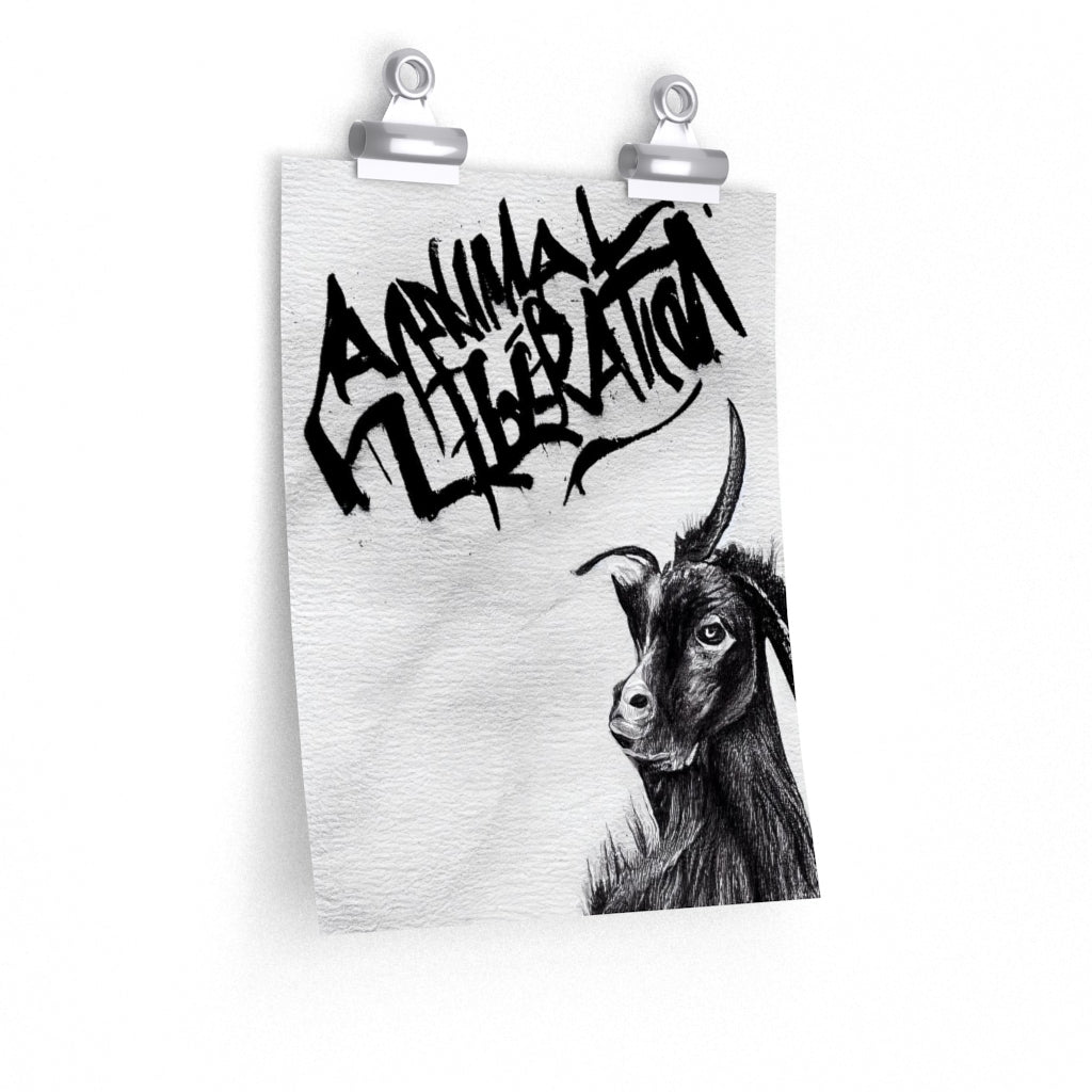 Goat - Animal Liberation