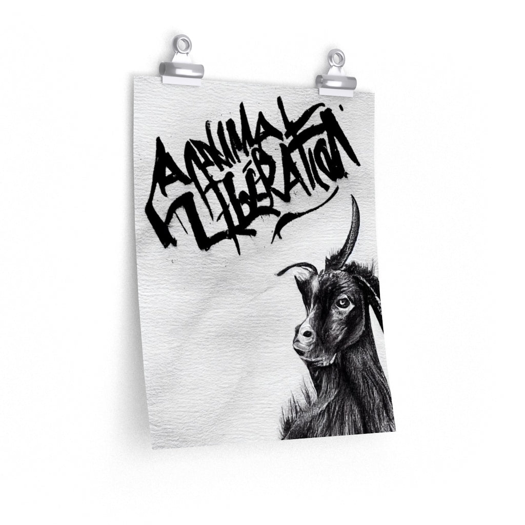 Goat - Animal Liberation